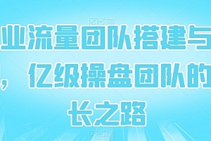 企业流量团队搭建与管理,亿级操盘团队的成长之路