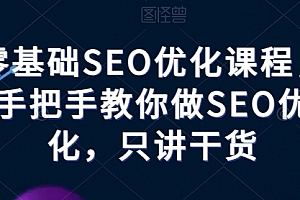零基础SEO优化课程,手把手教你做SEO优化,只讲干货