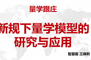 量学云讲堂智量客王晓利 量学波段操盘系统 第24期+第二段位课