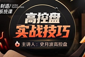 史月波 高控盘实战技巧