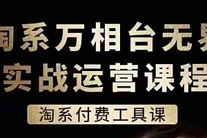 淘系万相台无界实战运营课,淘系付费工具课