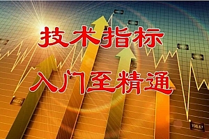 陈译辉-技术指标入门至精通
