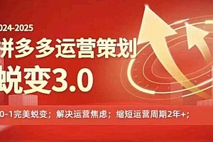 2024-2025拼多多运营策略蜕变3.0,0~1完美蜕变,解决信息焦虑