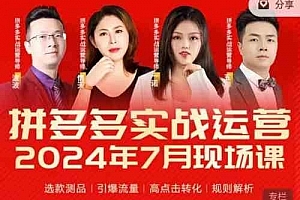 2024年7月拼多多实战运营现场课程,实时玩法,爆款打造,选品、规则解析