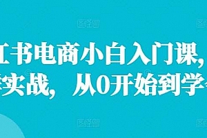 小红书电商小白入门课,店群实战,从0开始到学会