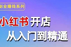 小红书开店从入门到精通,快速掌握小红书店铺运营,实现开店创收,好懂没有废话
