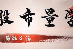 股市量学骆驼子涵大盘系统课程