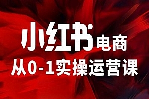 小红书电商从0-1实操运营课,让你从小白到精英