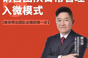 陈文学-销售团队日常管理—入微模式-教你做销售