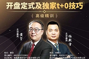 杨殿方 开盘定式及独家t+0技巧2023