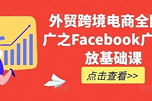 外贸跨境电商全网推广之Facebook广告投放基础课