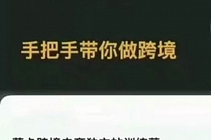 蒙卡跨境电商独立站训练营,从小白到精通手把手教你做跨境+独立站建站实战