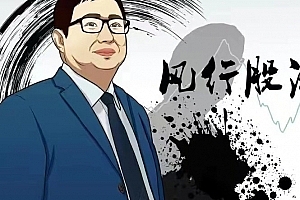 【风行股海】龙头涨停战法12课,涨停板战法,短线打板教程