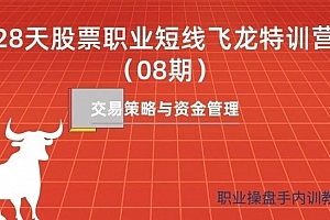 天智一飞《28天股票职业短线飞龙特训营08期》一飞金融