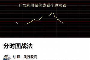 风行股海-分时图战法