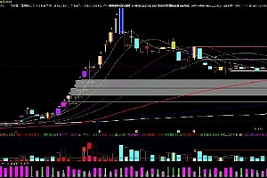 【量学大讲堂】2024年12月–2025年1月-姜灵海归零启航复盘分析第92期 8视频