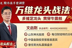 神光文启刚万维龙头战法多维定龙头穿越牛震熊 新系统课28集