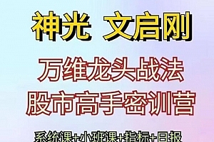 神光文启刚 万维龙头战法股市高手密训营系统课+小班课+日报+指标