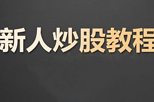 炒股入门课程 股票基础知识