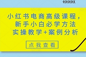 小红书电商高级课程,新手小白必学方法,实操教学+案例分析
