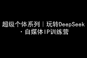超级个体系列,玩转DeepSeek·自媒体IP训练营,deepseek教程