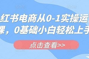 小红书电商从0-1实操运营课,0基础小白轻松上手