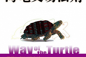 【期货课程】海龟交易法则 海龟交易特训 海龟交易系统视频教程