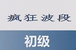 胡晓辉交易大师尊享版《初级班趋势技术教学疯狂波段初级班》