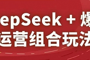 秋秋DeepSeek+爆品运营组合玩法,2025淘系精品课