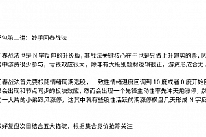 【主升龙头真经】13级群 N字反包之妙手回春战法 1文档