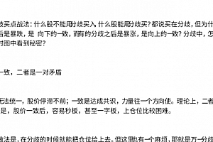 【主升龙头真经】13级群 龙头分歧买点战法 1文档