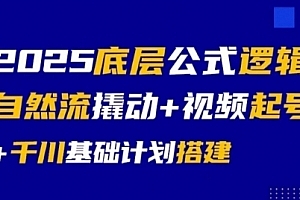 大明老师2025底层公式逻辑自然流撬动+视频起号+千川基础计划搭建