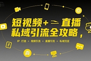 短视频+直播私域引流全攻略,IP打造 +视频引流 +直播引流 +私域沉淀