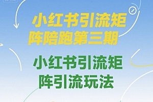 钟小玲小红书引流矩阵陪跑第三期,小红书引流矩阵引流玩法