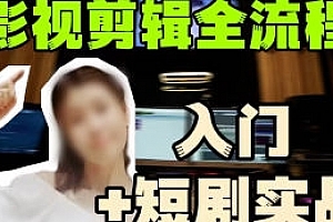 莱尼日记影视剪辑全流程入门+短剧实战课