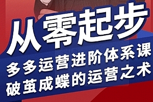海神·拼多多运营进阶系统课,从零起步,多多运营进阶体系课,破茧成蝶的运营之术