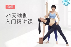 每日瑜伽 21天瑜伽入门精讲课 助你开始瑜伽之旅!