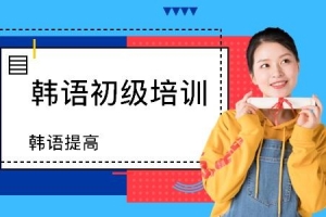 韩语网课零基础自学入门延世韩国语视频教程