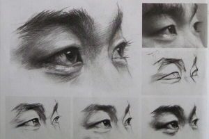 美术素描教学全集