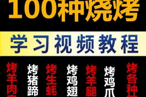 100种烧烤技术视频学习教程
