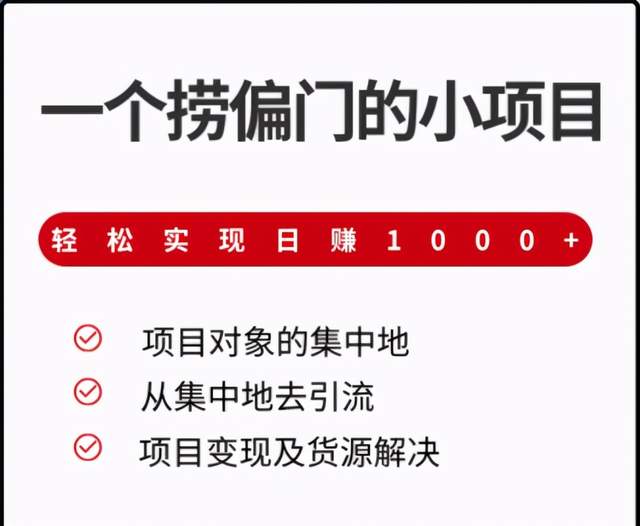 柚子团队课程：一个捞偏门的小项目，轻松实现日赚1000+