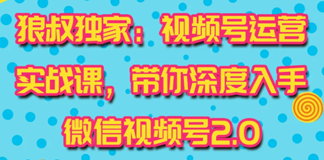 狼叔赚客会：视频号运营实战课2.0，目前市面上最新最全玩法，快速吸粉吸金（10节视频）