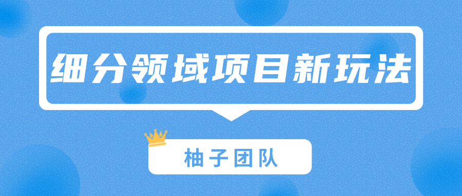 细分领域项目新玩法，特殊的赚钱思维打造一份巨额收入