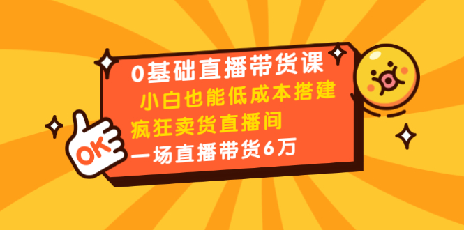 0基础直播带货课：小白也能低成本搭建疯狂卖货直播间：1场直播带货6万