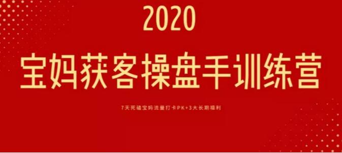 宝妈获客项目操盘手训练营，两大超级流量洼地，日引1000+批量化操作
