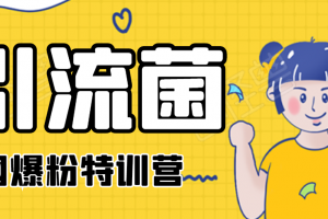 引流菌：2020全网爆粉特训营（QQ群霸屏，知乎引流，群裂变，自动化引流等）