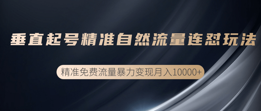 垂直起号精准自然流量连爆玩法，精准引流暴力变现月入10000+