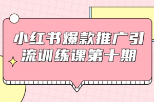 小红书爆款推广引流训练课第十期，手把手带你玩转小红书，轻松月入过万
