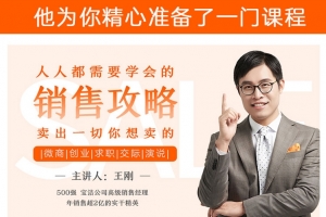 人人都需要学会的销售攻略：卖出一切你想卖的