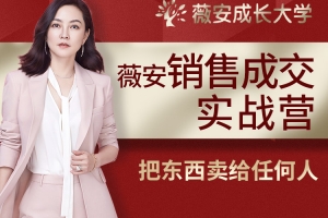 薇安28天销售高手训练营
